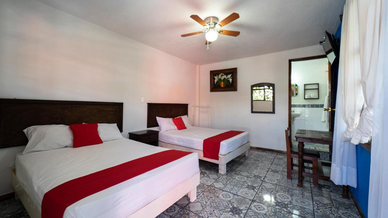 Hotel Posada Bugambilias ซานหลุยส์โปโตซิ ภายนอก รูปภาพ