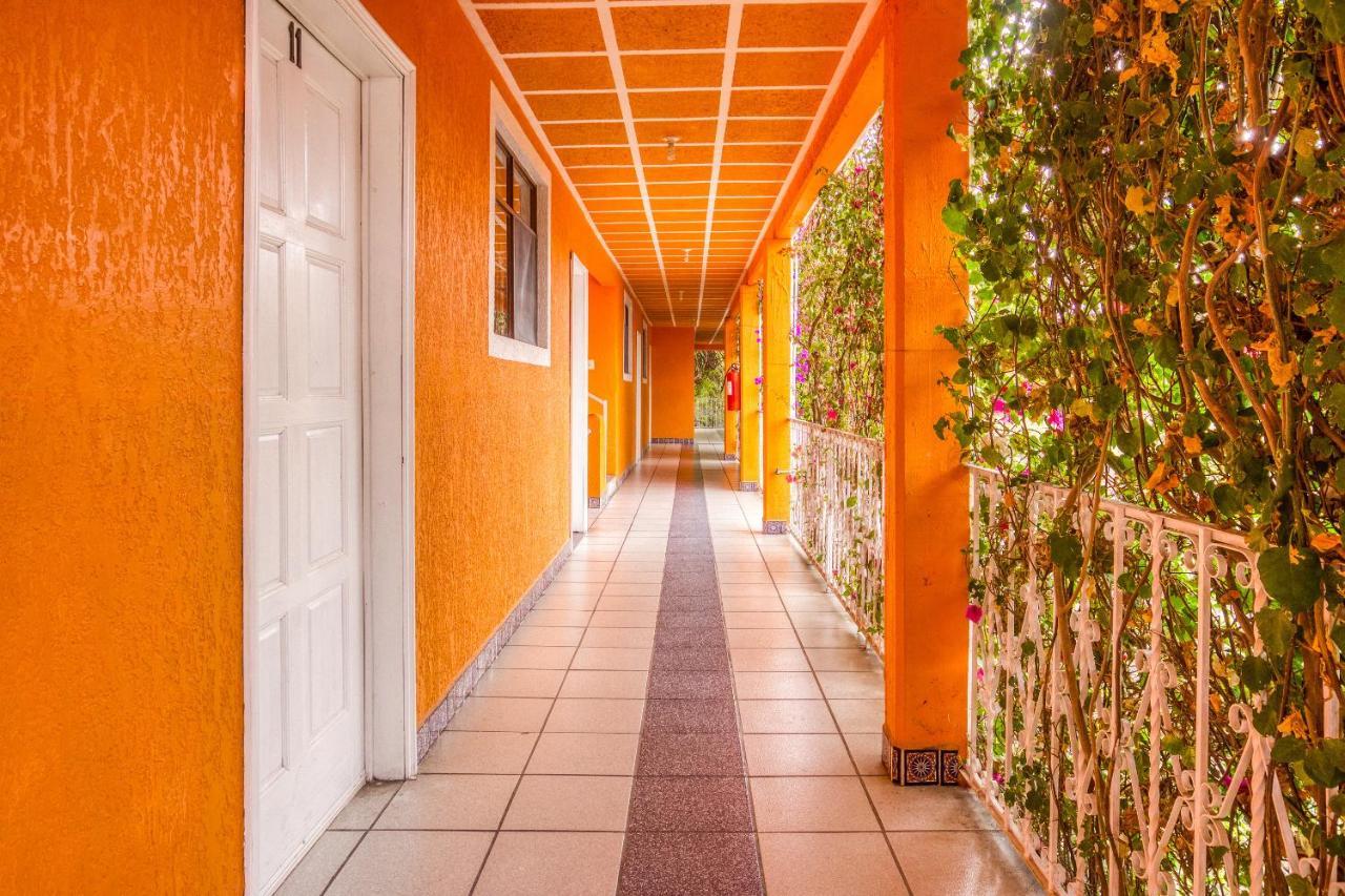 Hotel Posada Bugambilias ซานหลุยส์โปโตซิ ภายนอก รูปภาพ